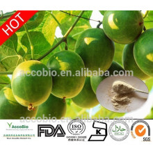 100% Natural High Quality Sweetener Organic Monk Fruit Extract 10%~55% Mogroside V Powder monk fruit extract powder